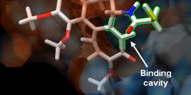 発作を抑える治療